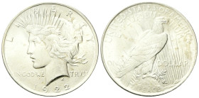 USA
Federazione.
Dollaro Peace 1922, zecca di Philadelphia.
Ag
gr. 26,71
Dr. IN GOD WE TRVST / LIBERTY. Testa muliebre a d. con corona radiata.
...