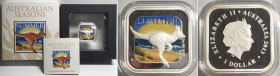 AUSTRALIAN SEASONS - SUMMER 1 Dollar 2013 square KANGAROO Colored