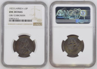 SOUTH AFRICA 1/2 Penny 1923 GEORGE V bronze KEY DATE! NGC UNC Details