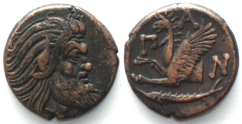 CIMMERIAN BOSPOROS. Pantikapaion, AE 21mm 310-303 BC, Pan / griffin, sturgeon XF...