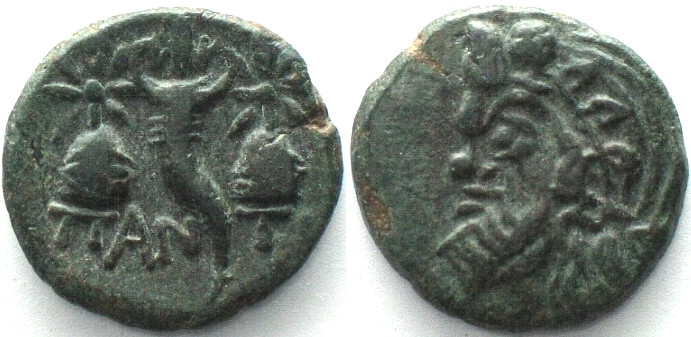 CIMMERIAN BOSPOROS. Pantikapaion, AE 18mm 150-120 BC, pan / cornucopia between c...