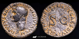 Drusus Bronze As 10,62 g., 25 mm. Rome AD 80-81. good very fine