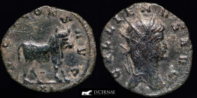 Gallienus bronze Antoninianus 2,71 g. 20 mm. Rome 267-268 A.D. Good fine