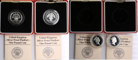 United Kingdom (Royal Mint, Llantrisant) 1 Pound 1986, 1987 Piedfort - Elizabeth II (1952-2022) (2)
1 Pound 1986 - Northern Irish Flax. KM P6; Spink J...