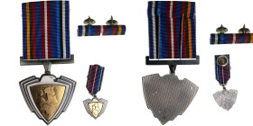 NATO Medal - Baltic Air Policing Mission with Miniature and Ribbon bar
22.71g. 3.91g. 5.19g.