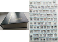 Specialized collection of Estonia stamps 1919-1924
Included varieties, shades, errors, cancellations.
Huge collection of Estonia stamps 1919-1924 for...
