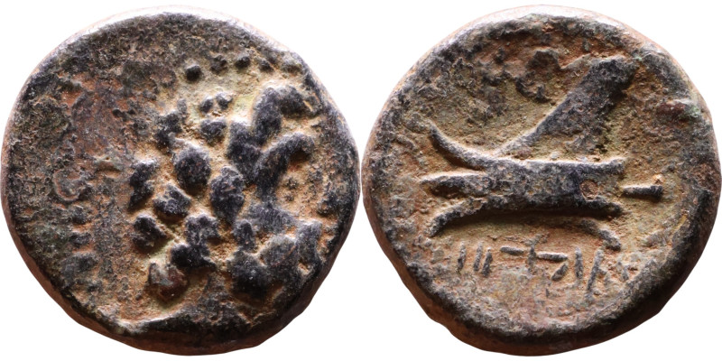 Arados Phoenicia . (2 century BC) Bronze coin. Obv: Bearded head of Zeus right R...