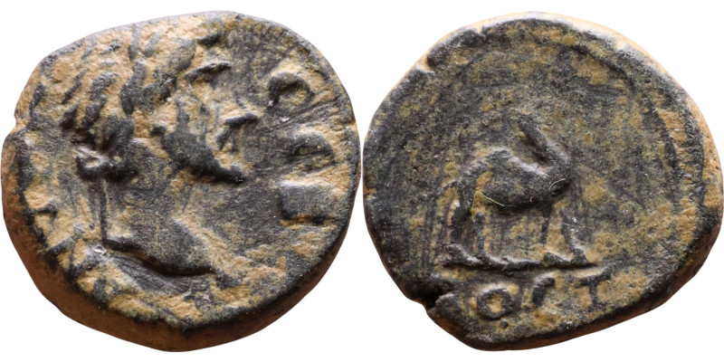 Antoninus Pius (138-161) Bostra, Decapolis Bronze coin. Obv: Laureate, draped bu...