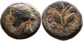 Nero (54-68) Antioch Syria. Bronze Obverse: head of Apollo, right Reverse: Laurel branch

14mm 3,06g