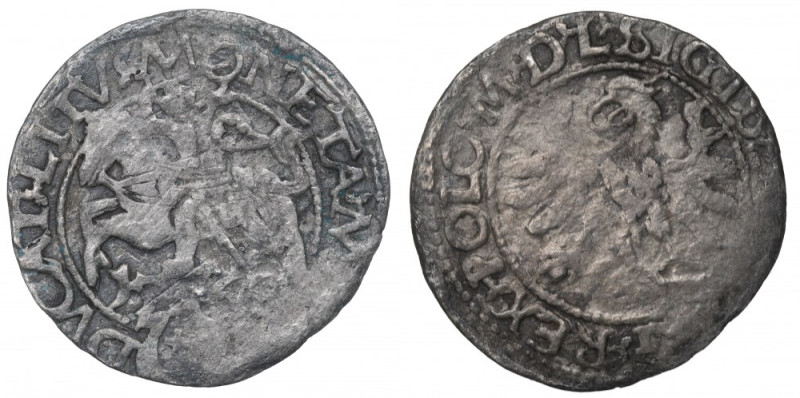 Sigismund II Augustus, Halfgroat 1566, Tiktin - L/LIT Jeden z najbardziej poszuk...