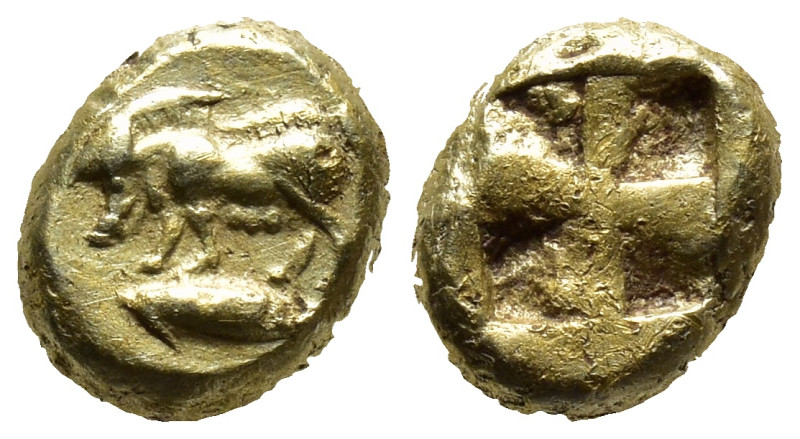 MYSIA. Kyzikos. (Circa 500-450 BC) EL Hemihekte – 1/12 Stater (8mm 1.2 g) Rev: B...
