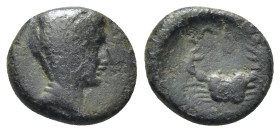 MYSIA. Priapos. (4th century BC). AE. (1.57 Gr. 11mm.)
 Laureate head of Apollo right 
Rev: Crab.