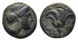 Rhodos, Rhodes. Circa 350-300 BC. (1.48 Gr. 10mm.)
Head of diademed nymph to right 
Rev. Rose with bud to right; P-O across fields