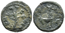 TROAS. Scepsis. Pseudo-autonomous (1st century). Ae. (13mm, 1.7 g) Obv: CKHΨIΩN. Capricorn left. Rev: CKHΨI. Olive tree.