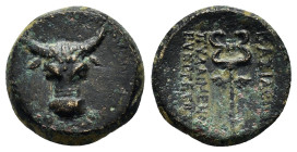 KINGS of PAPHLAGONIA. Pylaimenes II / III Euergetes (Circa 133-103 BC). Ae.
Obv : Head of bull facing.
Rev : ΒΑΣΙΛΕΩΣ / ΠΥΛΑΙΜΕΝΟΥ ΕΥΕΡΓΕΤΟΥ.
Winged k...