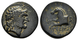 PISIDIA. Termessos.(1st century BC).Ae.
Obv : Laureate head of Zeus right.
Rev : TEP.
Forepart of horse left

Condition : Good very fine.

Weight : 6....