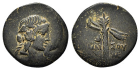 PONTOS. Amisos. Time of Mithradates VI.(Circa 105-85 BC). Ae.

Obv : Head of Perseus right, wearing a winged helmet.
Rev : AMI-ΣOY.
Winged harpa.
SNG ...