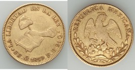 Republic gold 8 Escudos 1859 Mo-FH VF (scratch), Mexico City mint, KM383.9. 

HID09801242017