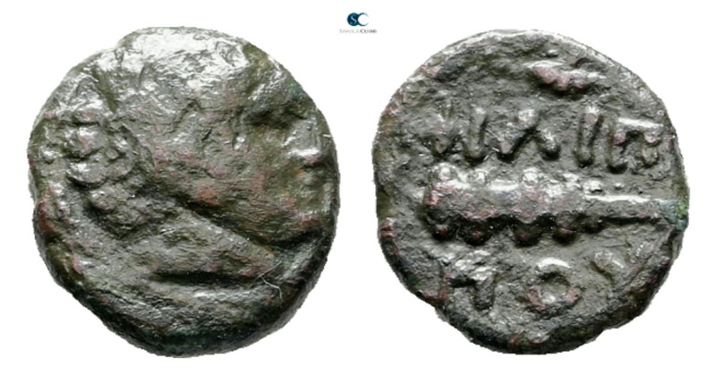 Kings of Macedon. Uncertain mint. Philip II of Macedon 359-336 BC. 
Bronze Æ

...