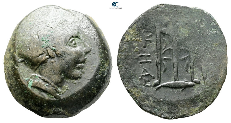 Mysia. Kyzikos circa 300-200 BC. 
Bronze Æ

28 mm, 16,84 g



Nearly Very...