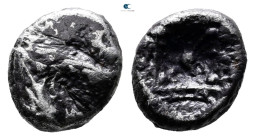Caria. Kindya circa 510-490 BC. 
Tetrobol AR

12 mm, 1,64 g



Very Fine