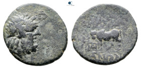 Lydia. Tralleis circa 200-0 BC. 
Bronze Æ

18 mm, 3,11 g



Very Fine