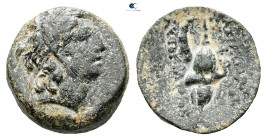 Seleukid Kingdom. Antioch on the Orontes. Tryphon 142-138 BC. 
Bronze Æ

18 mm, 4,25 g



Very Fine