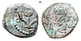 Judaea. Jerusalem. John Hyrcanus I 135-104 BC. 
Prutah Æ

14 mm, 1,79 g



Very Fine