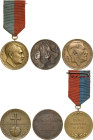 Drittes Reich
 Bronzemedaille 1932 (GIW) Reichstagswahl der NSDAP - Kampf-Schatz-Spende. Zum Hitlergruß erhobene Hände vor Hoheitszeichen / Schrift. ...