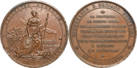 Eisenbahnen
 Bronzemedaille 1866 (Bordes) Auf die Eröffnung der Eisenbahnstrecke von Buenos Aires in die 160 km entfernte Stadt Chivilcoy. Argentinia...