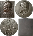Belgien-Medaillen
 Bronzemedaille 1933 (Rau) Henri Pirenne - Historiker. Kopf nach links / Baum zwischen 2 Helmen. Randpunze: FISCH & Co. 70,5 mm, 14...