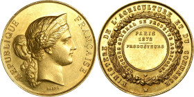 Frankreich
Dritte Republik 1870-1940 Goldmedaille 1878 (Barre) Prämie des Ministerium für Landwirtschaft und Handel. Kopf der Republik nach rechts / ...