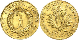 Schweiz-Basel, Stadt
 Goldgulden o.J. (17. Jhd.) HMZ 2-95 b D./T. 734 Friedberg 31 GOLD. 3.23 g. Avers leicht justiert, vorzüglich-Stempelglanz