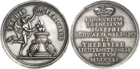 Medaillen
 Silbermedaille 1741 (M. Donner) Vermählung des Fürsten Joseph I. (Schwarzenberg) mit Maria Theresia von Liechtenstein in Maria-Schein bei ...