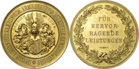 Dresden
 Vergoldete Bronzemedaille 1894 (Lauer) Preismedaille der internationalen Ausstellung für Nahrungsmittel-, Armeeverpflegung, Industrie, Gewer...