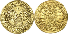 Pfalz-Kurlinie
Ludwig V. 1508-1544 Goldgulden 1511, Neumarkt Münzmeister Martin Lerch. Prägung für die Oberpfalz. Drei kleeblattförmig angeordnete Wa...