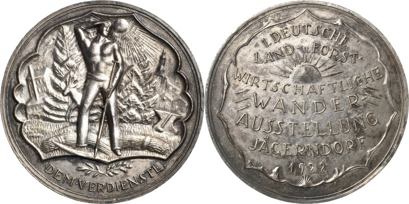Schlesien-Medaillen
 Versilberte Bronzemedaille 1922 (unsigniert) Verdienstmeda...