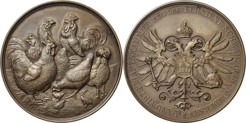 Schwarzburg-Sondershausen
Karl Günther 1880-1909 Bronzemedaille o.J. Ehrenpreis...