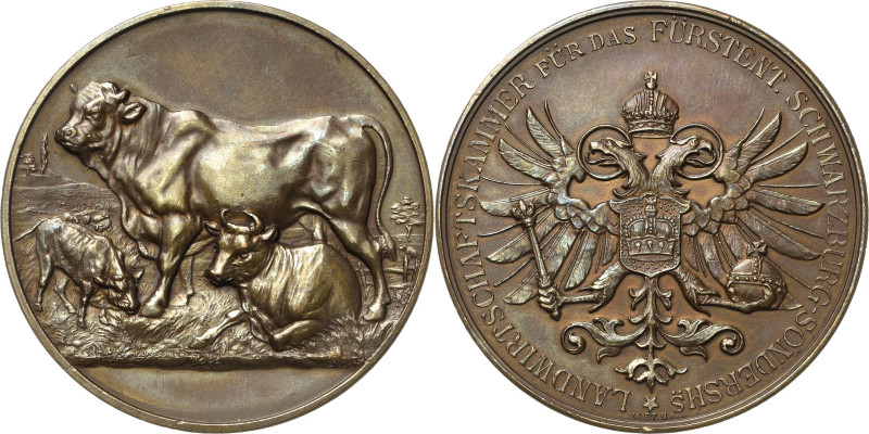 Schwarzburg-Sondershausen
Karl Günther 1880-1909 Bronzemedaille o.J. Ehrenpreis...