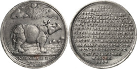 Stuttgart
 Zinnmedaille mit Kupferstift 1748 (V. Schrempf) Erstes "Rhinozeros" in Deutschland. Unter einer von Wolken umgebenen, strahlenden Sonne st...