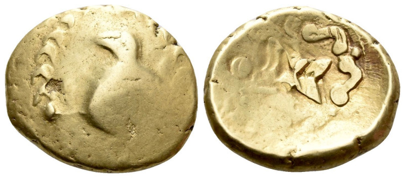 Celtic, Vindelici Stater, 'Regenbogenschüsselchen, Blattkranz mit Vogelkopf/Kreu...