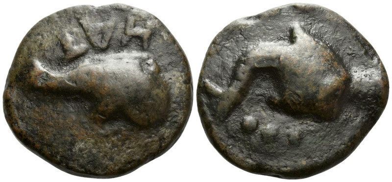 Picenum, Hatria Teruncius circa 275-225, Æ 47.60 mm., 101.69 g.
HAT Dolphin r. ...
