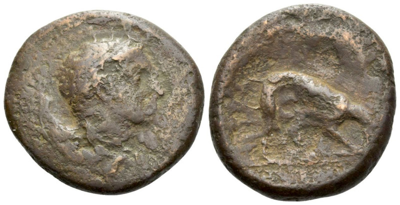 Sicily, Agyrion Hemilitron circa 338-317, Æ 27.00 mm., 14.89 g.
Male head r. Re...