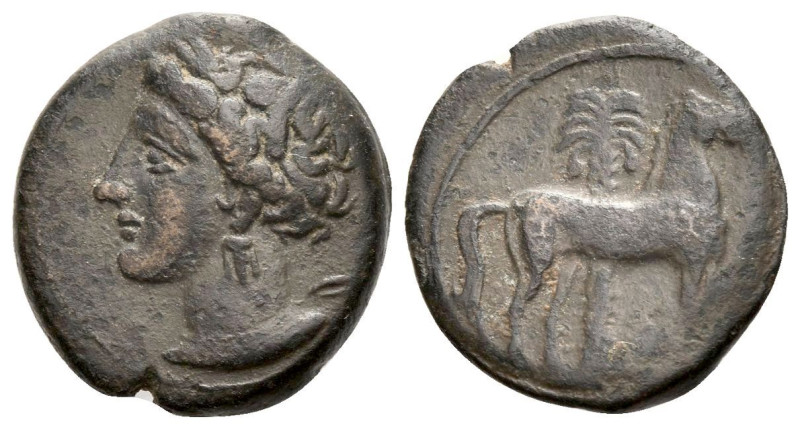 The Carthaginians in Sicily and North Africa, Carthage Bronze circa 340-320, Æ 1...