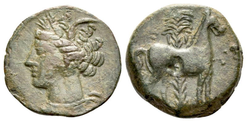 The Carthaginians in Sicily and North Africa, Carthage (?) Bronze circa 340-320,...