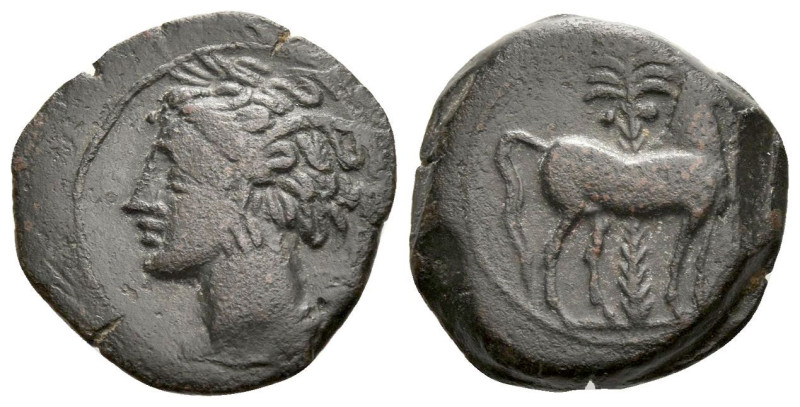 The Carthaginians in Sicily and North Africa, Carthage (?) Bronze circa 340-320,...