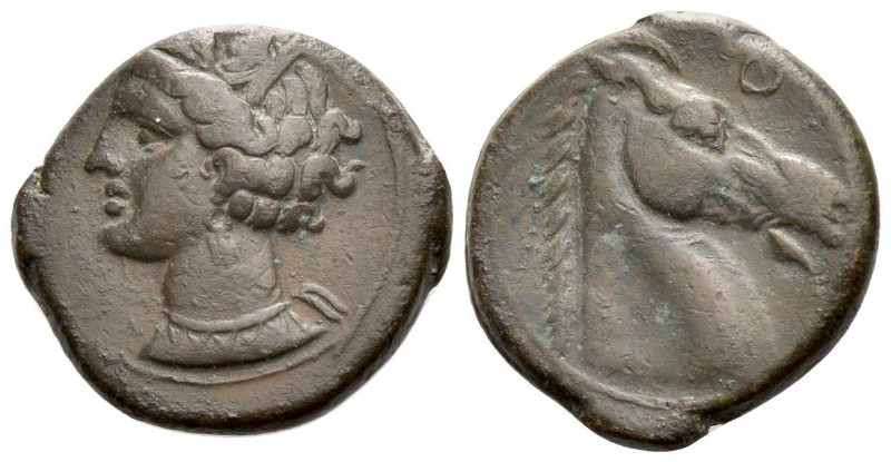 The Carthaginians in Sicily and North Africa, Carthage or Sardinia Bronze circa ...