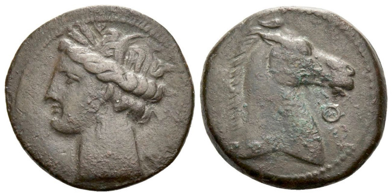 The Carthaginians in Sicily and North Africa, Carthage or Sardinia Bronze circa ...