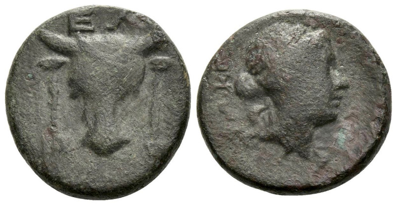 Phocis, Elateia Bronze Late III-II cent., Æ 18.80 mm., 5.71 g.
EΛ Bull's head f...