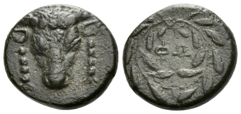 Phocis, Elateia Bronze Late III-II cent., Æ 15.60 mm., 3.54 g.
Bull's head faci...